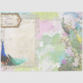 Peacock Ephemera 5 Seidenpapier (Vorderseite)