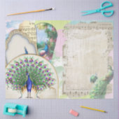 Peacock Ephemera 6 Seidenpapier (Basteln)
