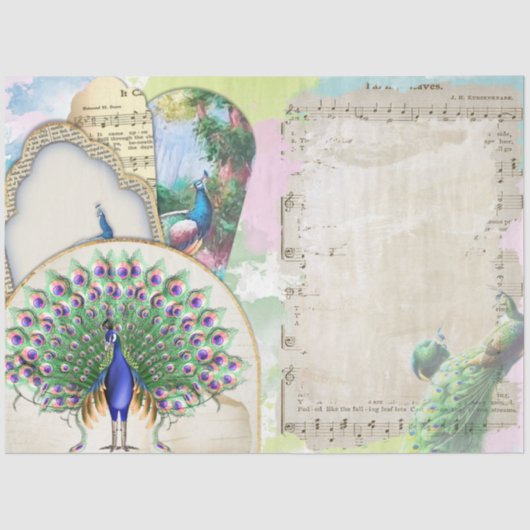 Peacock Ephemera 6 Seidenpapier (Vorderseite)