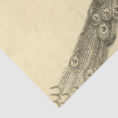 Peacock Ephemera Decoupage Seidenpapier (Detail)