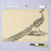 Peacock Ephemera Decoupage Seidenpapier (Handwerk)