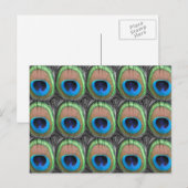 Peacock Eyes Postkarte (Vorne/Hinten)
