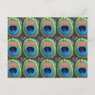Peacock Eyes Postkarte