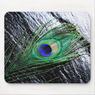 Peacock Feather 1 Mousepads