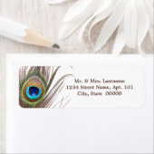 Peacock Feather Address Labels (Insitu)