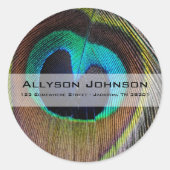Peacock Feather Address Stickers (Vorderseite)