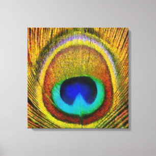 Peacock Feather Art Leinwanddruck