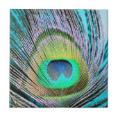 Peacock Feather auf Türkis Fliese (Vorderseite)