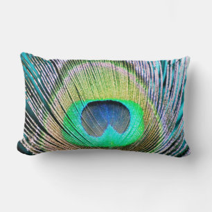 Peacock Feather auf Türkis Lendenkissen