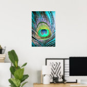 Peacock Feather auf Türkis Poster (Heimbüro)