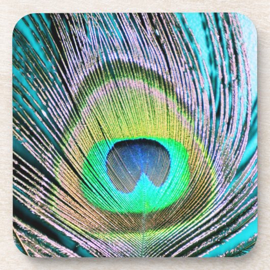 Peacock Feather auf Türkis Untersetzer (Vorderseite)