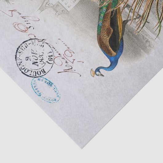 Peacock Feather Bird Blue Postmark Seidenpapier (Ausschnitt)