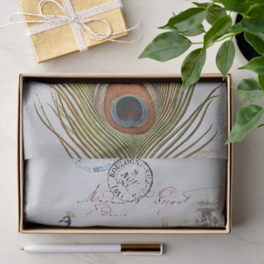 Peacock Feather Bird Blue Postmark Seidenpapier (Geschenk)