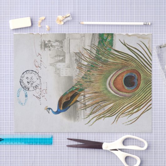 Peacock Feather Bird Blue Postmark Seidenpapier (Handwerk)