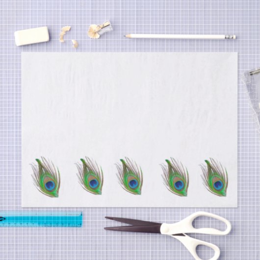 Peacock feather bordered tissue paper seidenpapier (Handwerk)