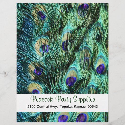 Peacock Feather Business Flyer (Hinten)