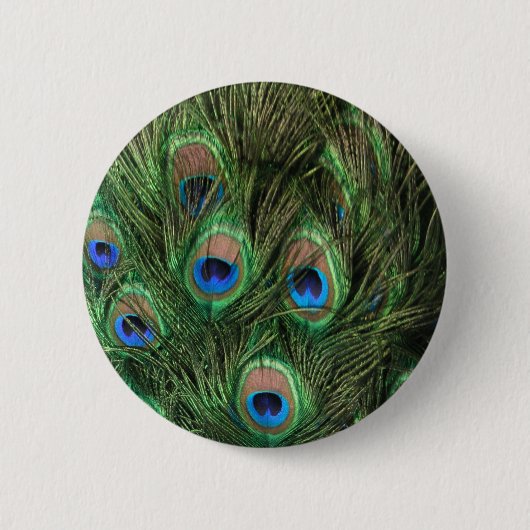 Peacock Feather Button (Vorderseite)