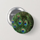 Peacock Feather Button (Vorne & Hinten)