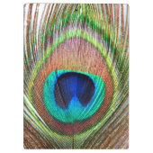 Peacock Feather Clipboard Klemmbrett (Rückseite)