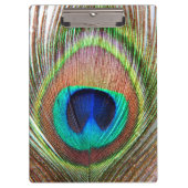 Peacock Feather Clipboard Klemmbrett (Vorderseite)