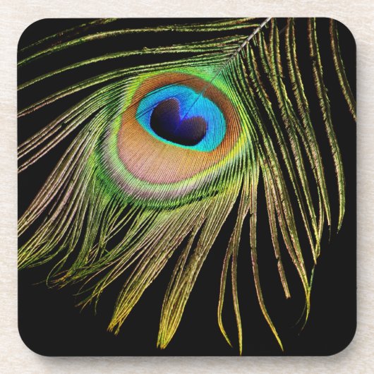 Peacock Feather Cork Untersetzer (Vorderseite)