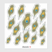 Peacock Feather Decal Aufkleber (Blatt)