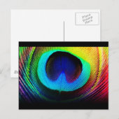 Peacock Feather Design Postkarte (Vorne/Hinten)
