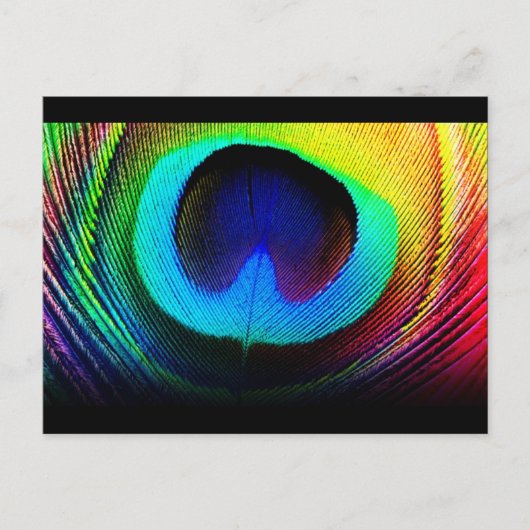 Peacock Feather Design Postkarte (Vorderseite)