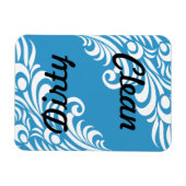Peacock Feather Dishwasher Magnet (Horizontal)
