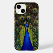 Peacock Feather Display Case-Mate iPhone Hülle (Rückseite)