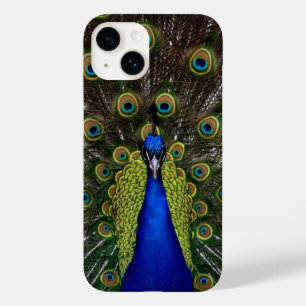 Peacock Feather Display Case-Mate iPhone 14 Hülle