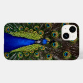 Peacock Feather Display Case-Mate iPhone Hülle (Rückseite (Horizontal))
