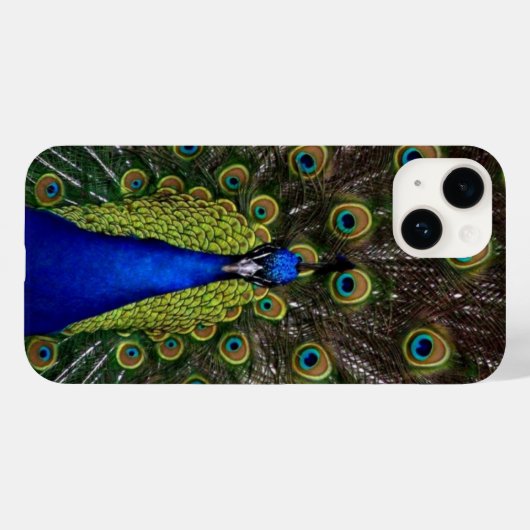 Peacock Feather Display Case-Mate iPhone Hülle (Rückseite (Horizontal))