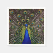 Peacock Feather Display Foto Serviette (Vorderseite)