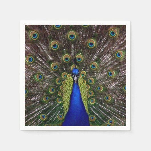 Peacock Feather Display Foto Serviette (Vorderseite)