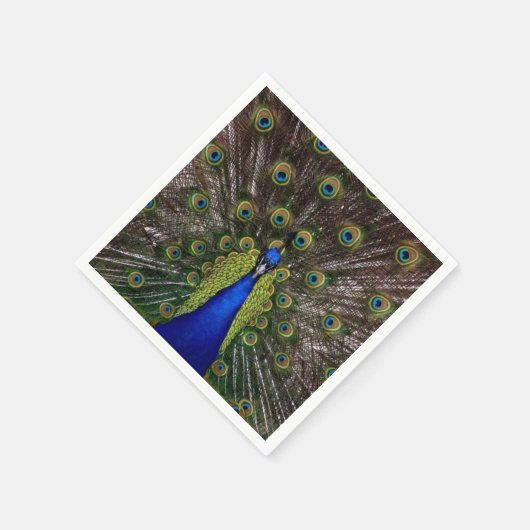 Peacock Feather Display Foto Serviette (Ecke)