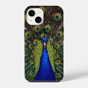 Peacock Feather Display iPhone 14 Hülle