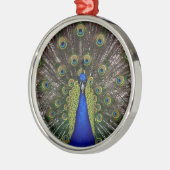 Peacock Feather Display Photo Ornament Aus Metall (Links)