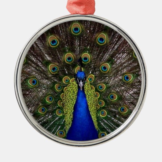 Peacock Feather Display Photo Ornament Aus Metall (Vorne)