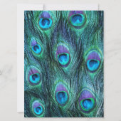 Peacock Feather Drama 6,5" x 8 Einladung zur Hochz (Rückseite)