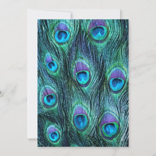 Peacock Feather Drama - Brautparty Einladung (Rückseite)
