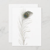 Peacock Feather Einladungspostkarte (Vorne/Hinten)
