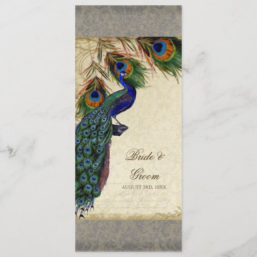 Peacock & Feather Elegantes Abendmenü Menükarte (Rückseite)