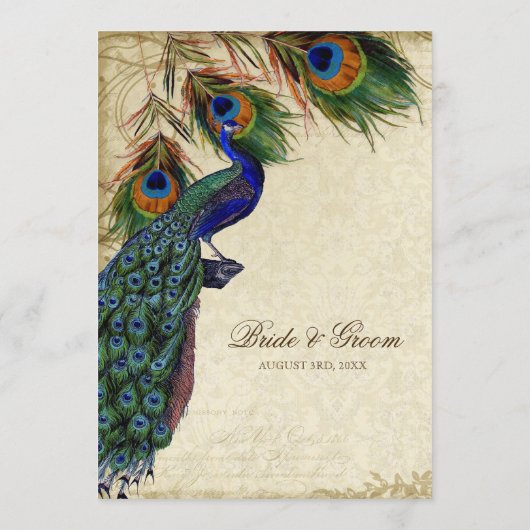 Peacock & Feather Elegantes Abendmenü Menükarte (Rückseite)