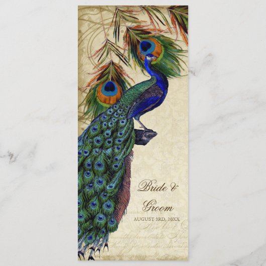 Peacock & Feather Elegantes Abendmenü Menükarte (Rückseite)