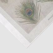Peacock Feather Ephemera Decoupage Seidenpapier (Detail)