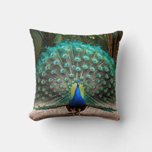 Peacock Feather Fanning Kissen