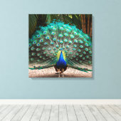 Peacock Feather Fanning Leinwanddruck (Insitu (Holzboden))