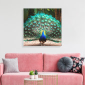 Peacock Feather Fanning Leinwanddruck (Insitu (Wohnzimmer))