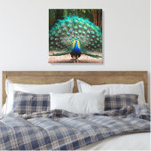 Peacock Feather Fanning Leinwanddruck (Insitu (Schlafzimmer))